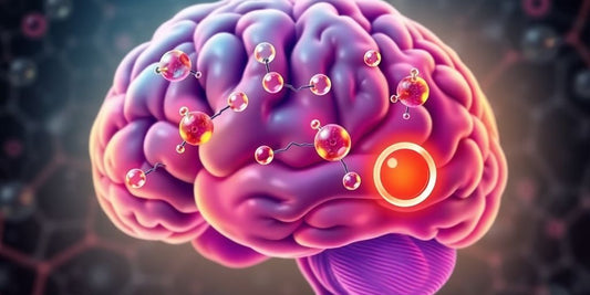 Understanding How Alcohol Affects Neurotransmitters: The Science Behind the Impact on Your Brain - Cloud9