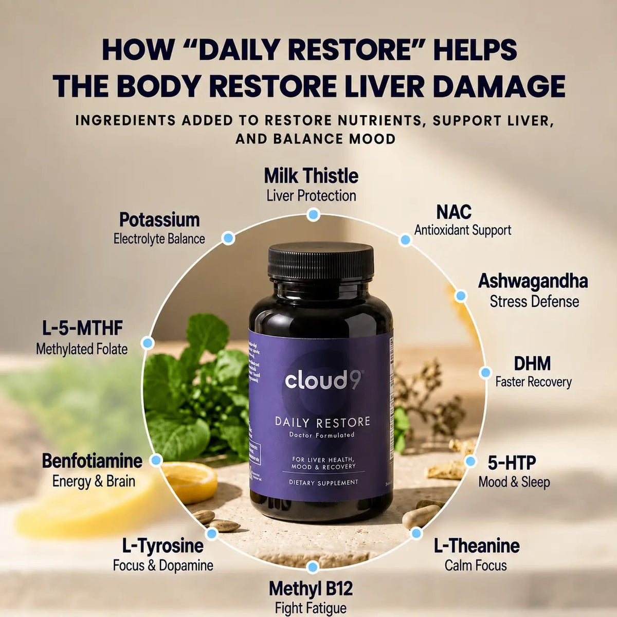 Daily Restore - Cloud9