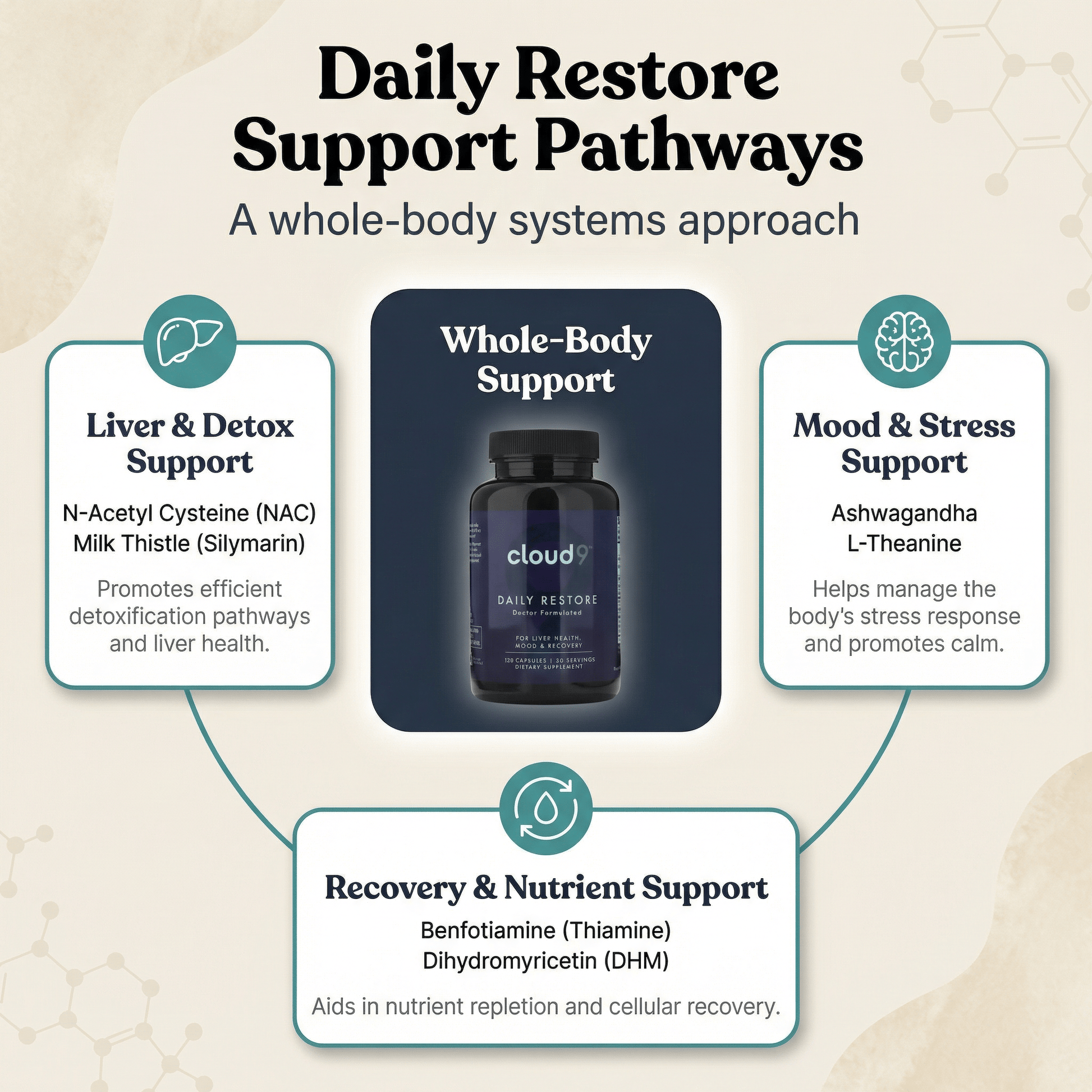 Daily Restore New - Cloud9