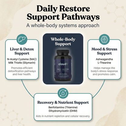 Daily Restore New - Cloud9